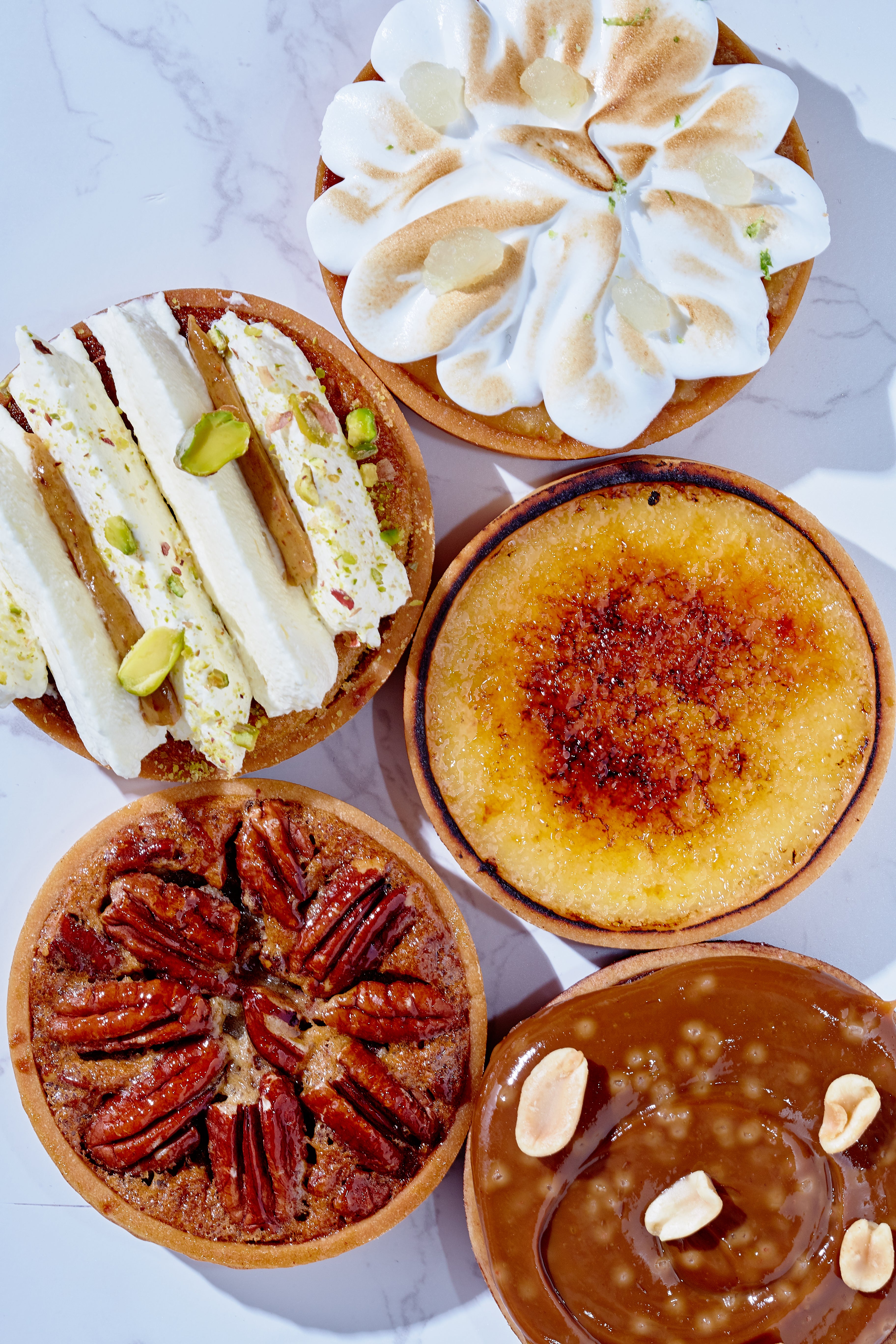 Discovery Box - Tartlets